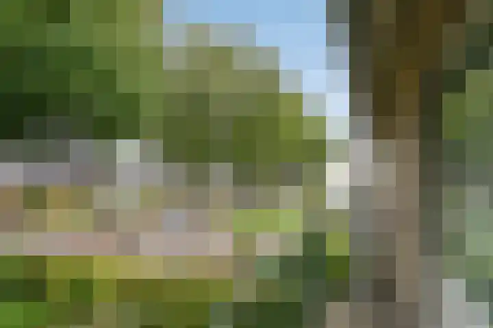 Vaarselstraat 11 Someren thumbnail 39