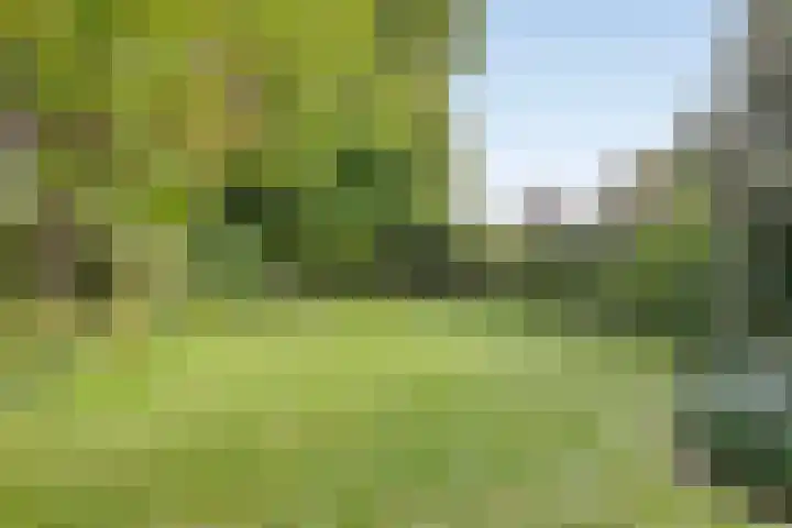 Vaarselstraat 11 Someren thumbnail 40