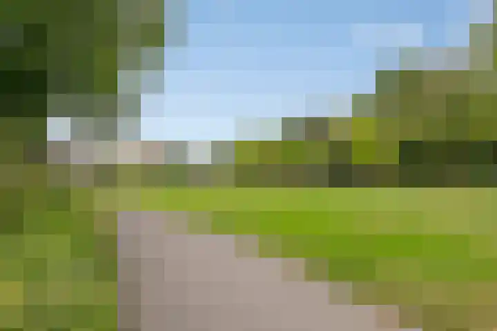 Vaarselstraat 11 Someren thumbnail 49