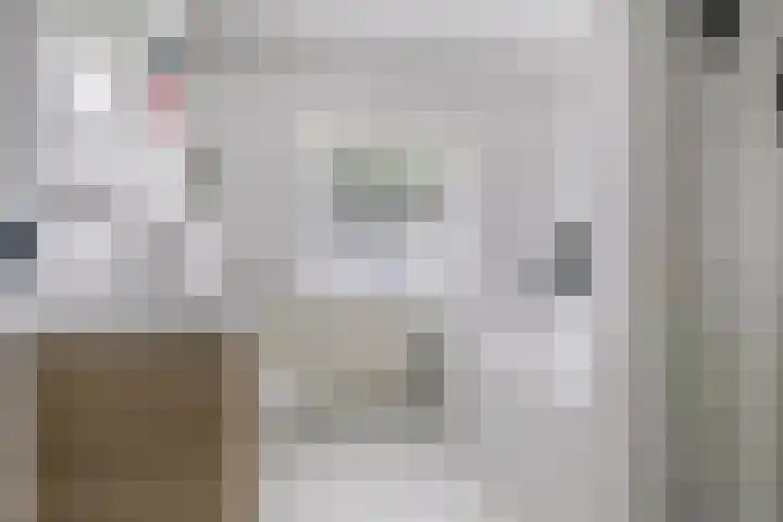 Vaarselstraat 11 Someren thumbnail 5