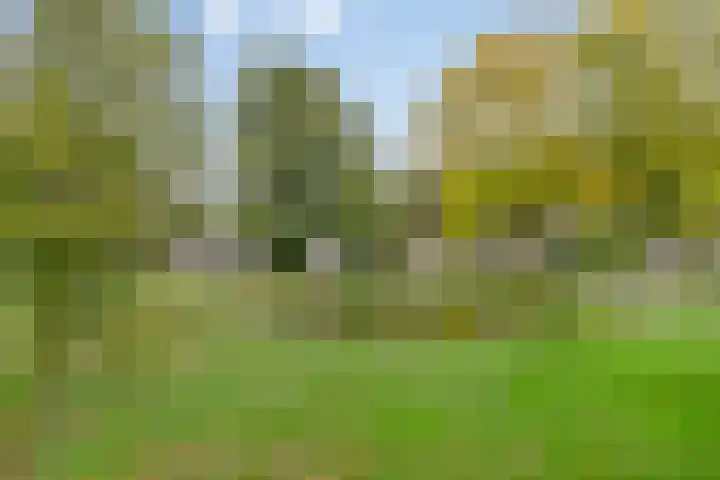 Vaarselstraat 11 Someren thumbnail 50