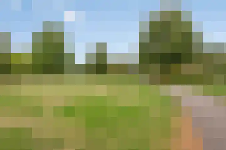 Vaarselstraat 11 Someren thumbnail 53