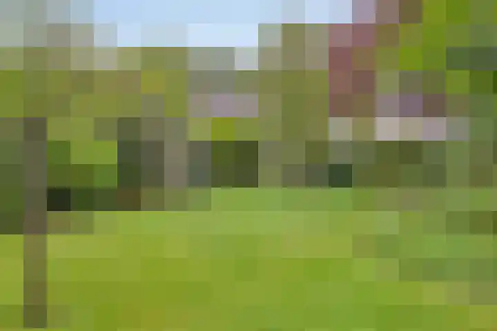 Vaarselstraat 11 Someren thumbnail 6