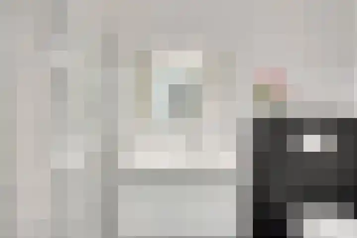 Vaarselstraat 29 Someren thumbnail 18