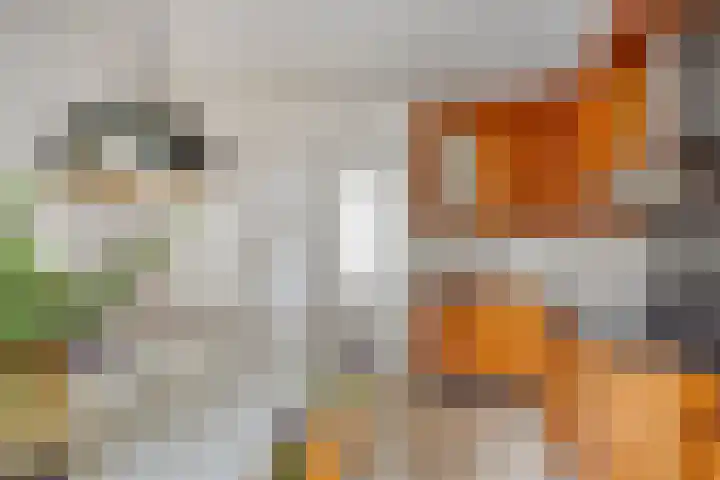Vaarselstraat 29 Someren thumbnail 27