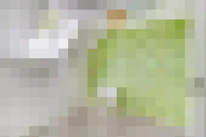 Vaarselstraat 29 Someren thumbnail 36