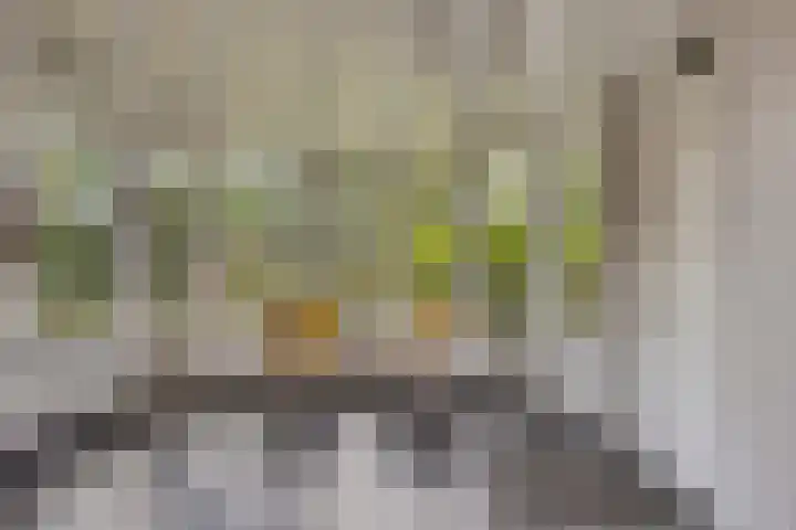 Vaarselstraat 29 Someren thumbnail 49