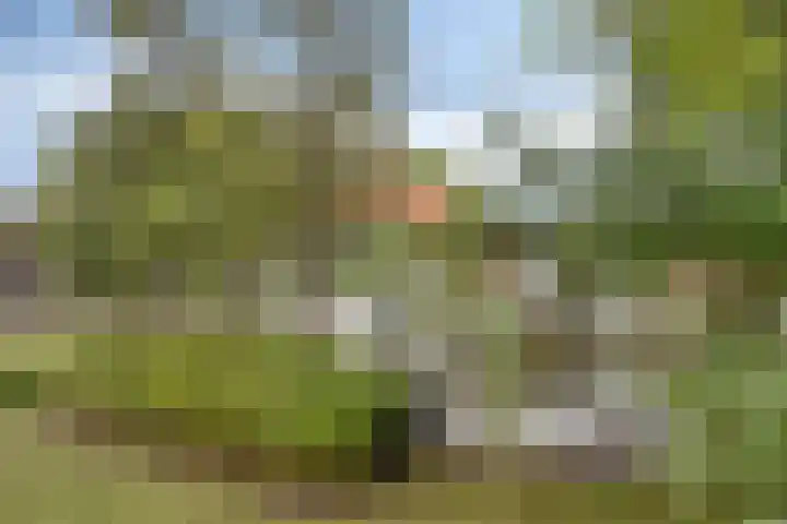 Vaarselstraat 29 Someren thumbnail 50