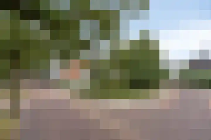 Vaarselstraat 29 Someren thumbnail 8
