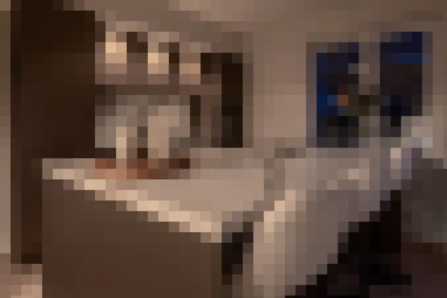 Vaarsloot 10 a Leersum thumbnail 25