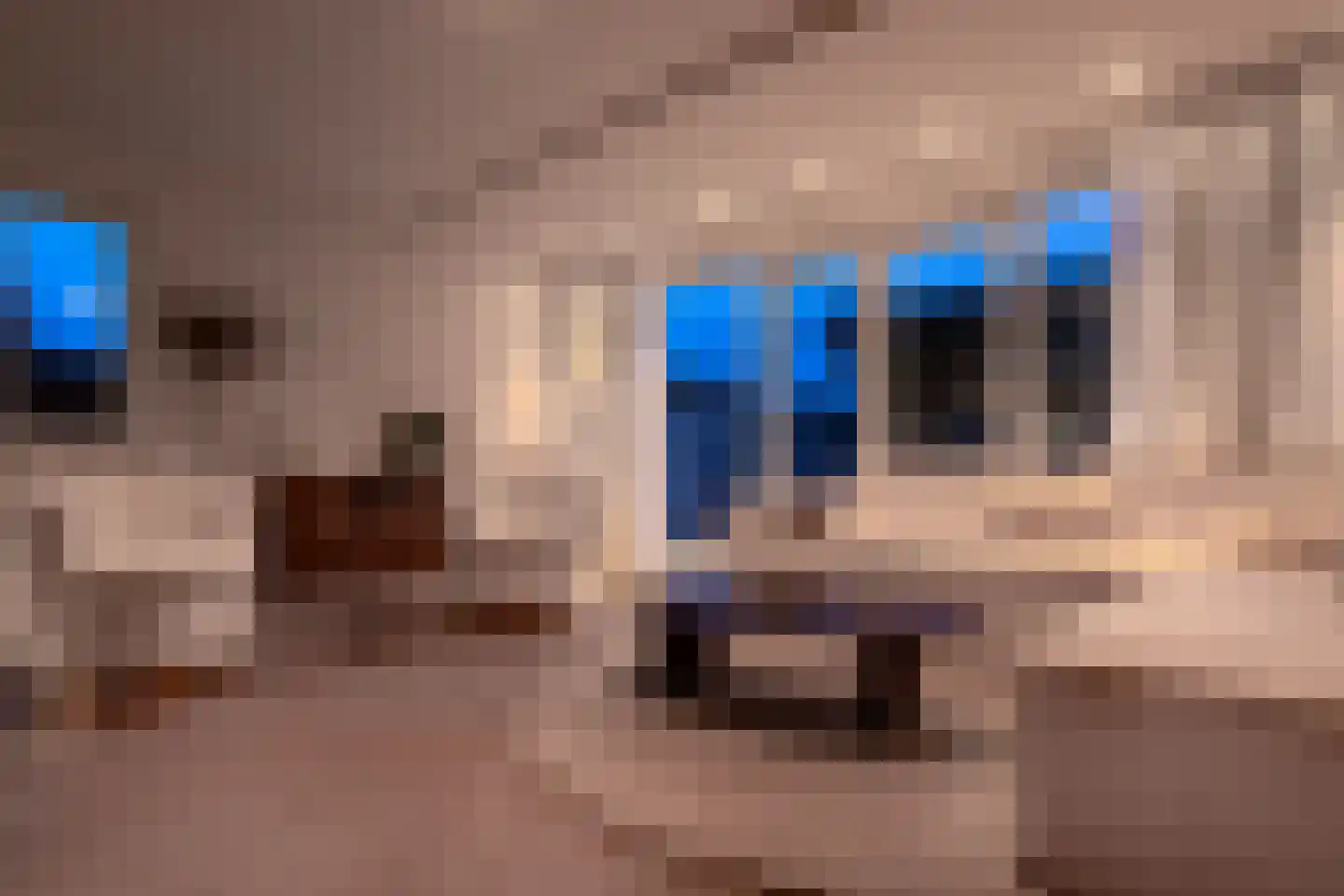 Vaarsloot 10 a Leersum thumbnail 26