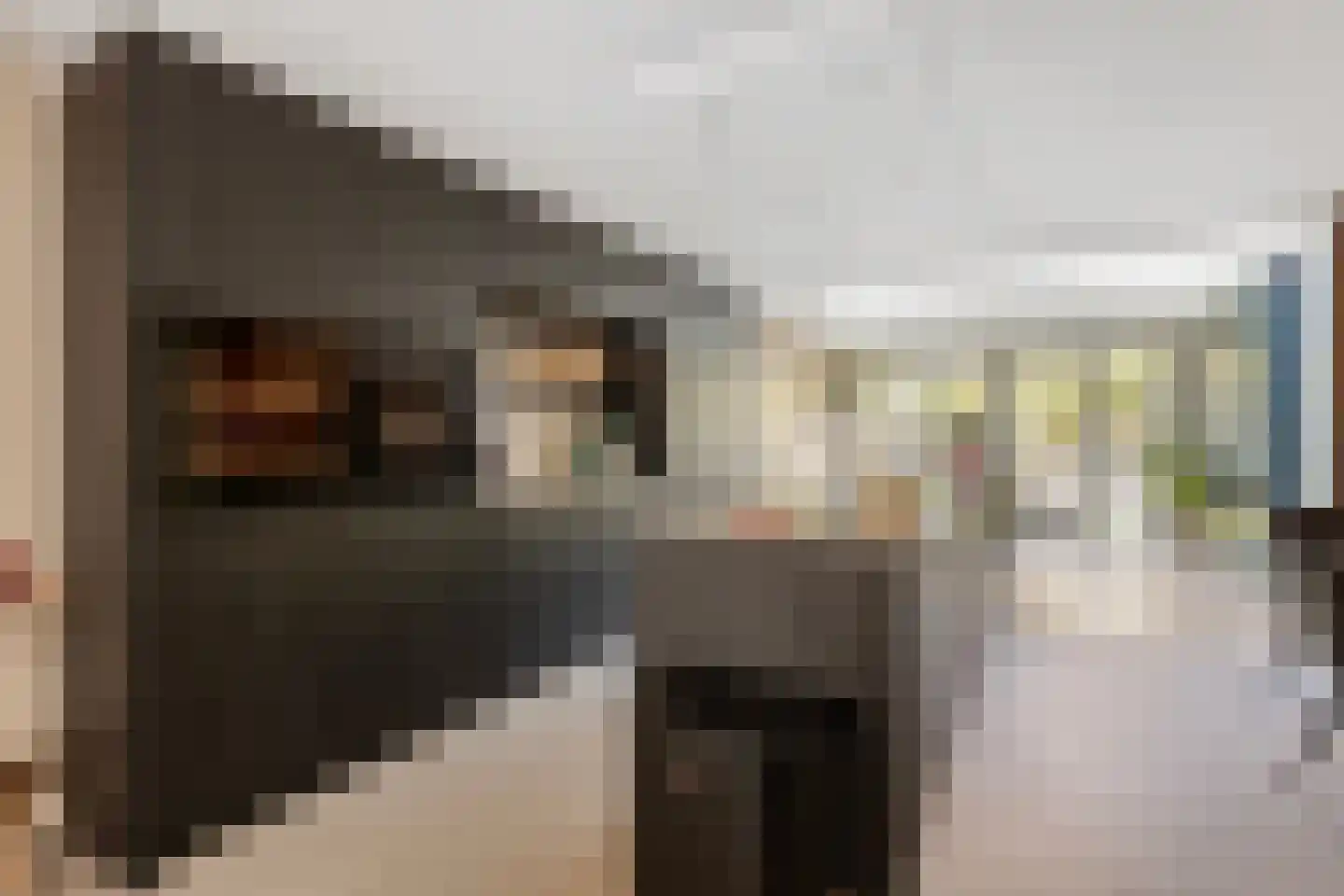 Vaarsvelden 14 Best thumbnail 19