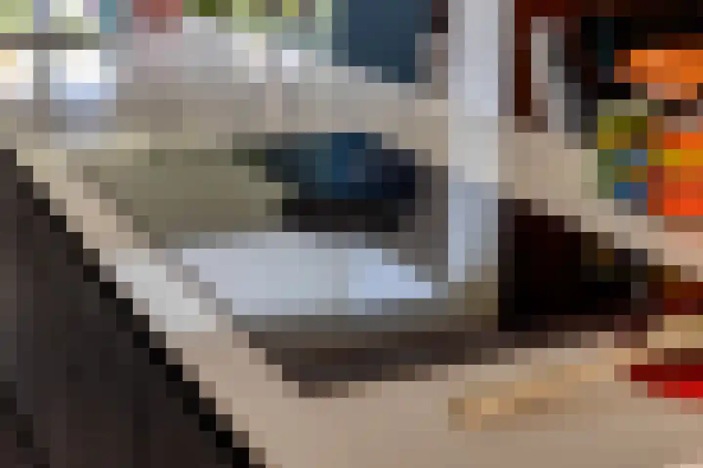 Vaarsvelden 14 Best thumbnail 23