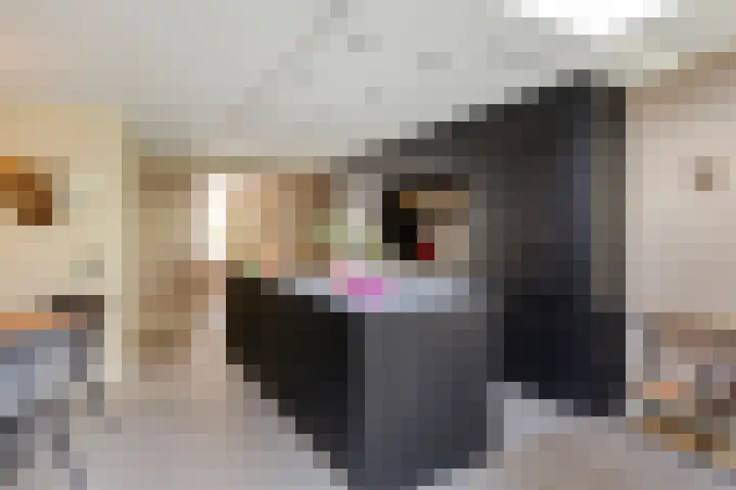 Vaarsvelden 14 Best thumbnail 4