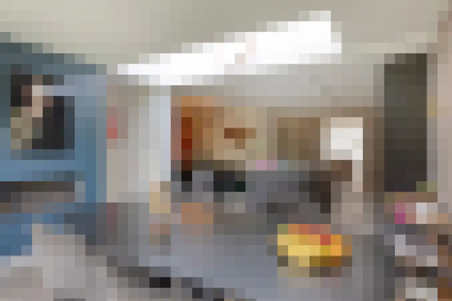 Vaarsvelden 14 Best thumbnail 5