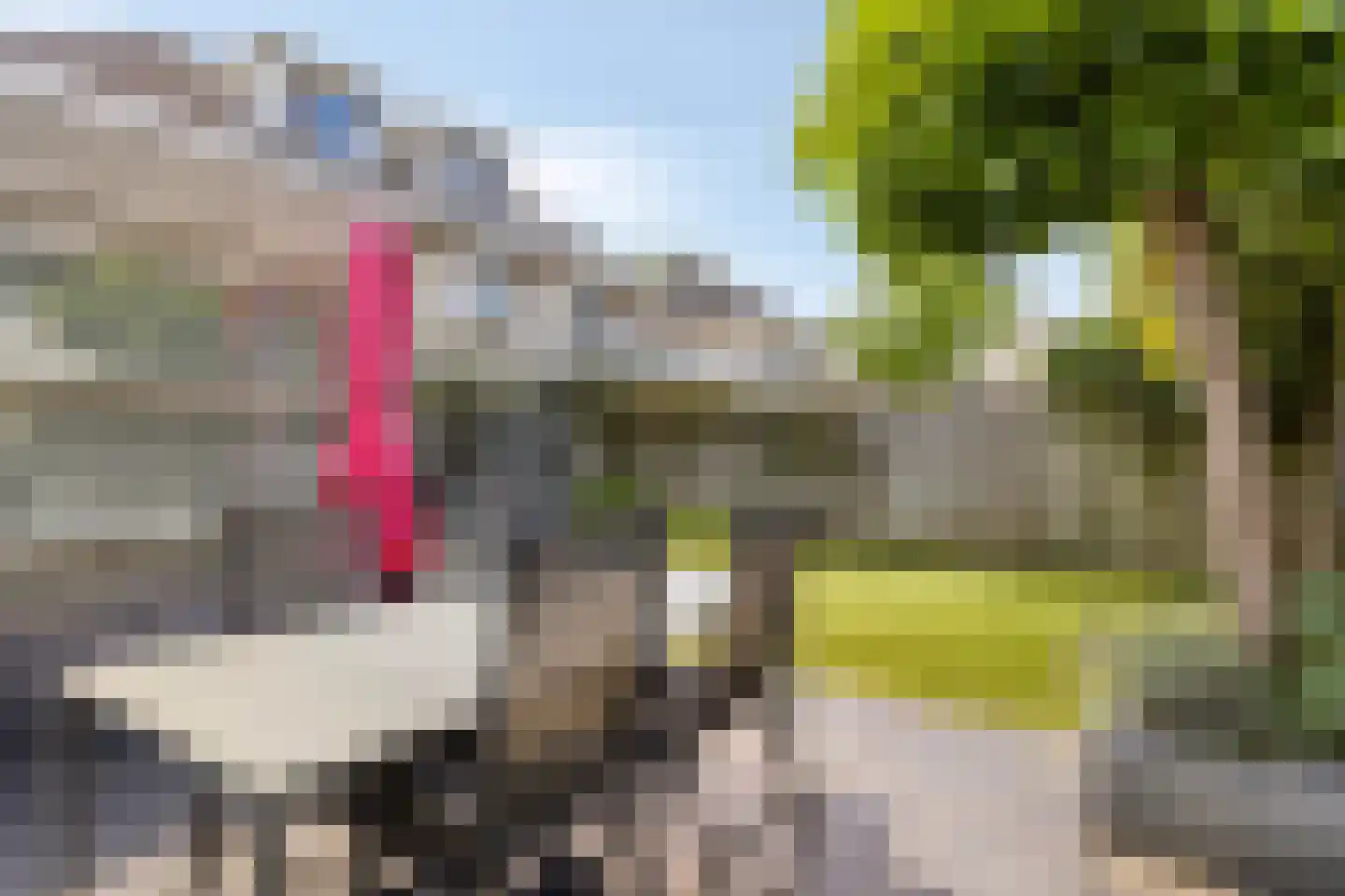 Vaarsvelden 14 Best thumbnail 66