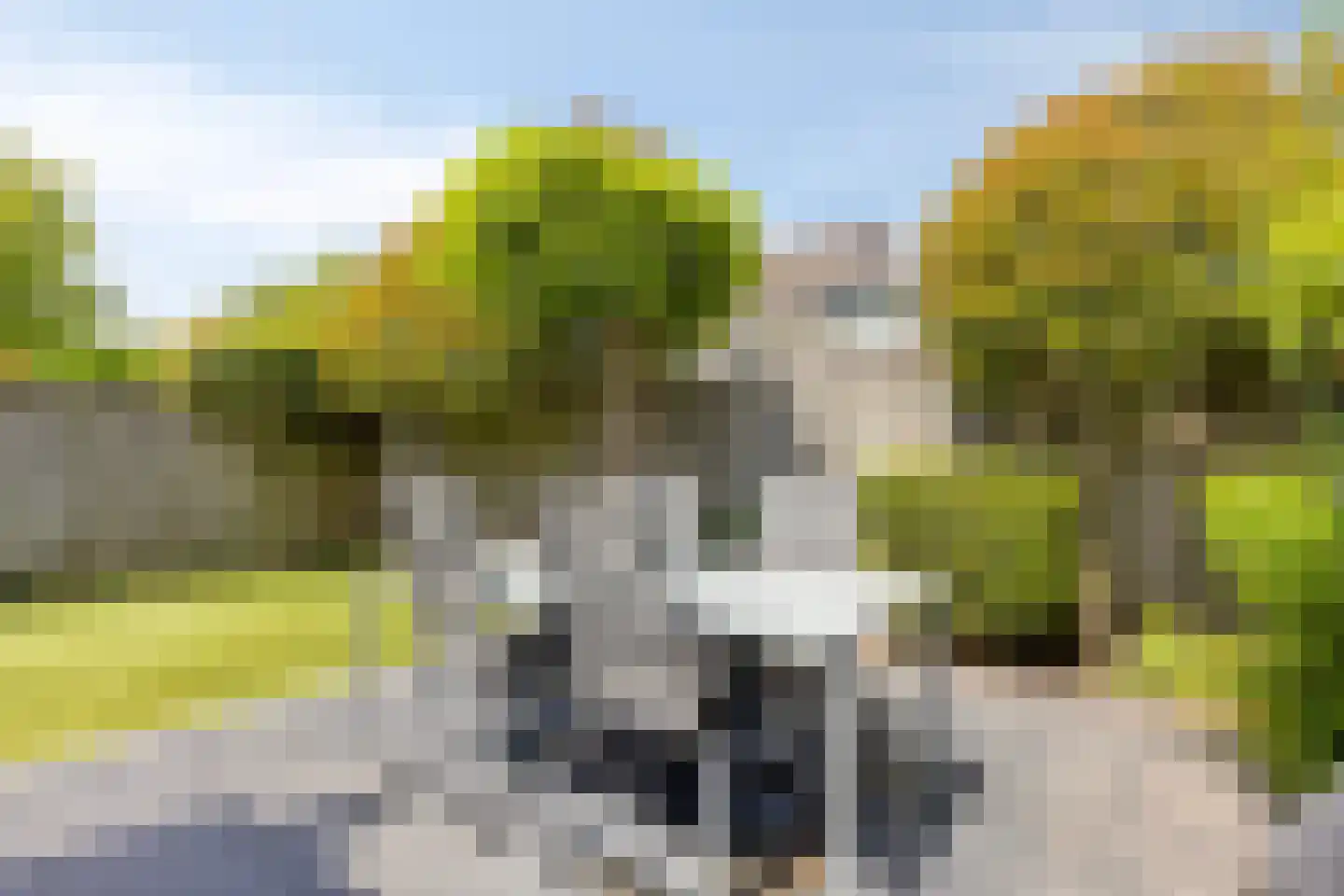 Vaarsvelden 14 Best thumbnail 68
