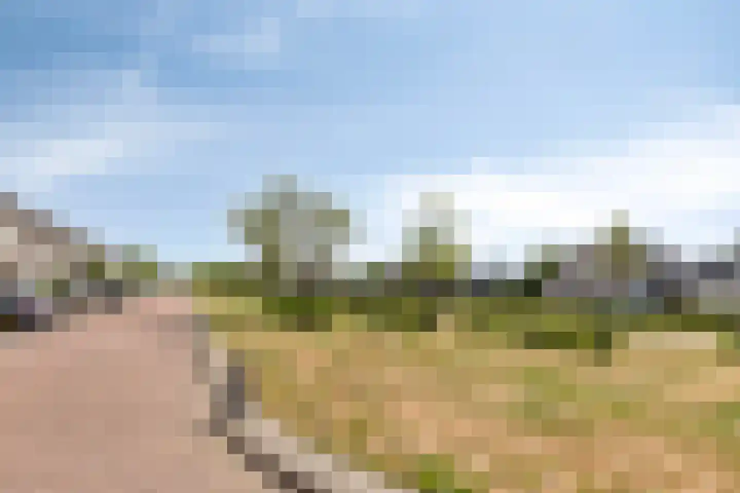 Vaarsvelden 14 Best thumbnail 71