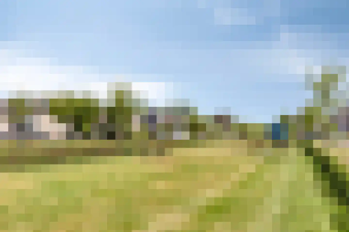 Vaarsvelden 14 Best thumbnail 72