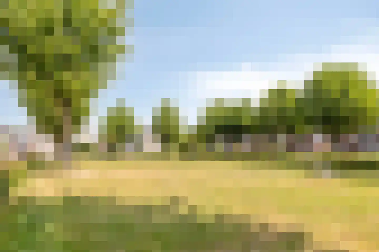 Vaarsvelden 14 Best thumbnail 73