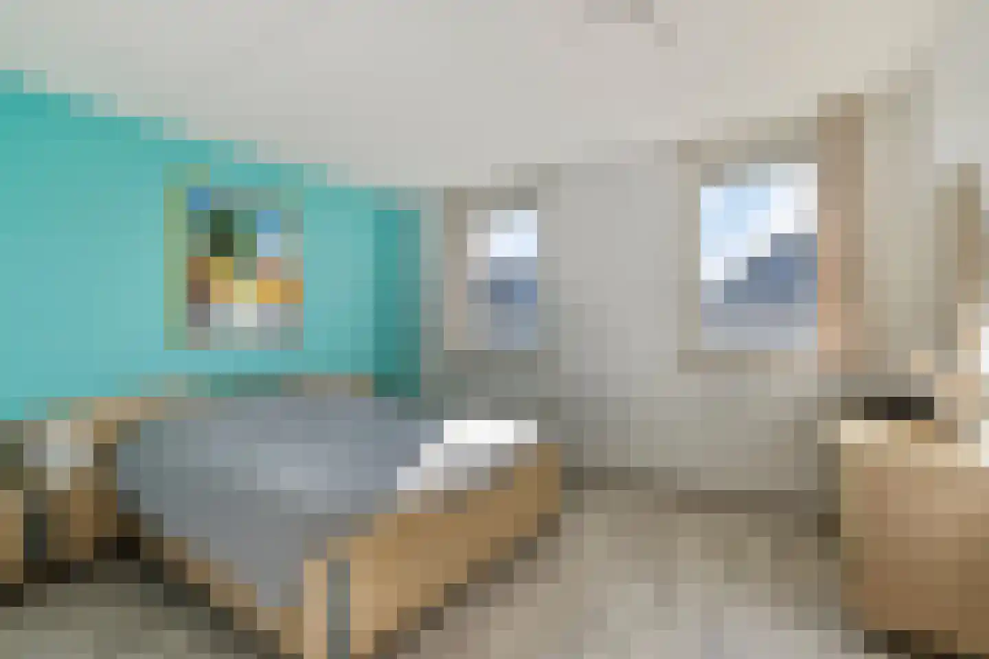 Vaarsvelden 6 Best thumbnail 27
