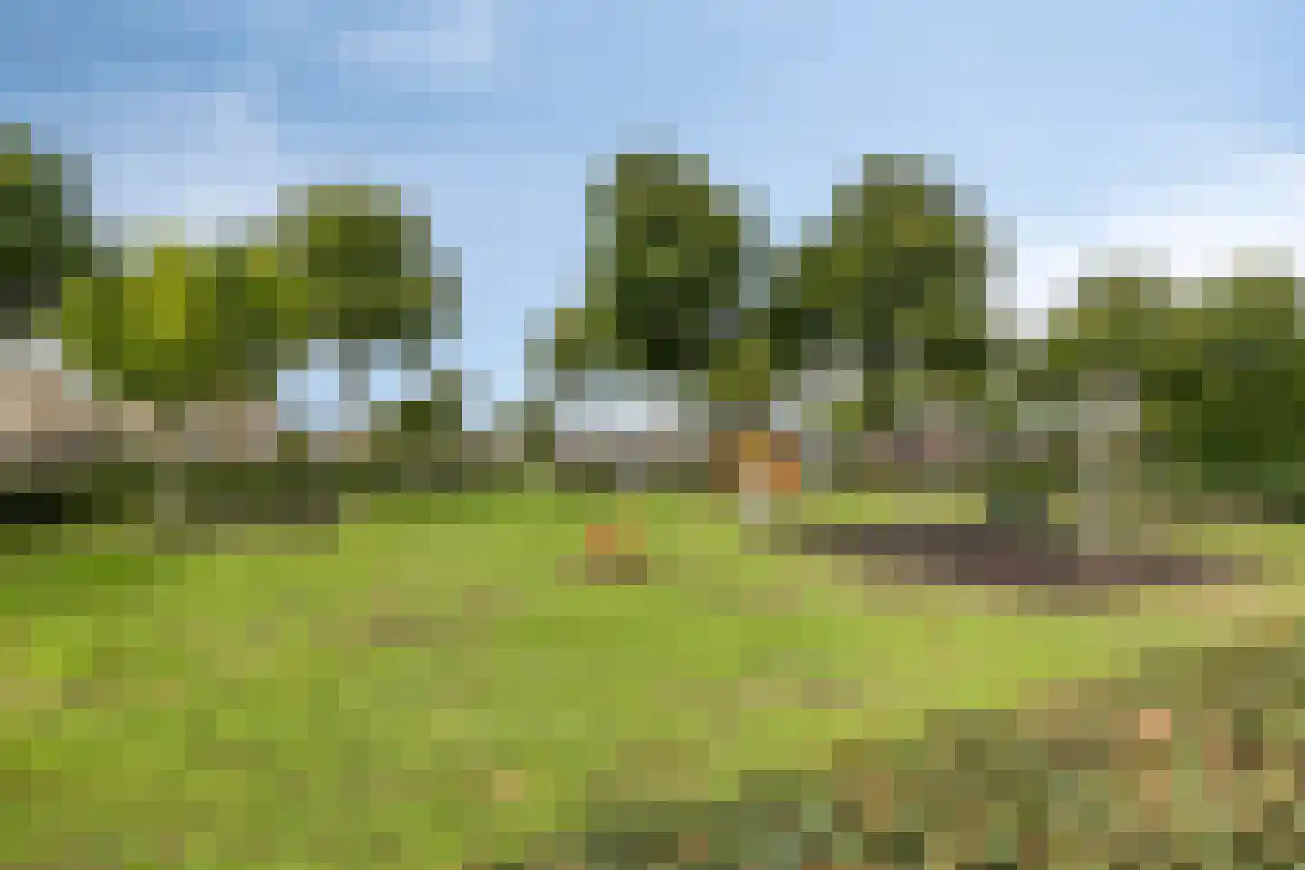 Vaarsvelden 6 Best thumbnail 48