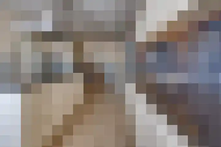 Vaart 1 Gasselternijveen thumbnail 13