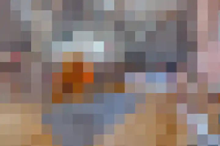 Vaart 1 Gasselternijveen thumbnail 38