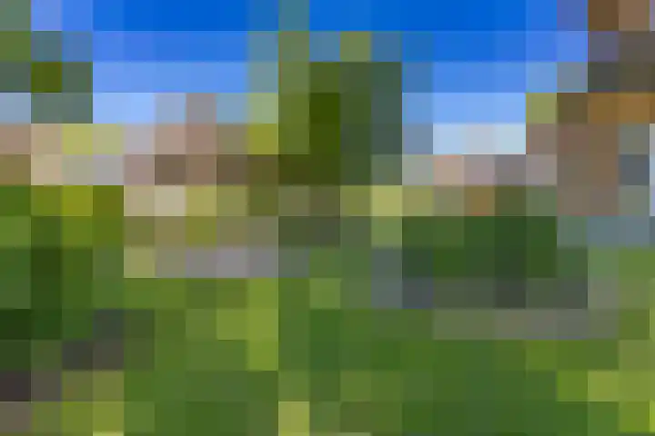 Vaart 1 Gasselternijveen thumbnail 45