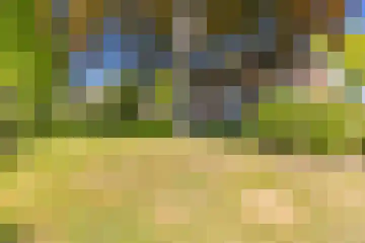 Vaart 1 Gasselternijveen thumbnail 46