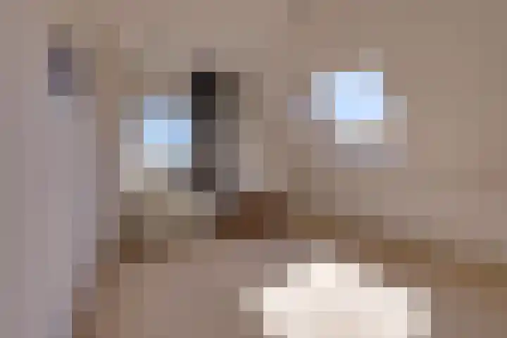 Vaart 153 Gasselternijveen thumbnail 31