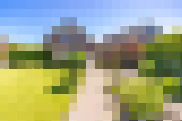 Vaart 153 Gasselternijveen thumbnail 48
