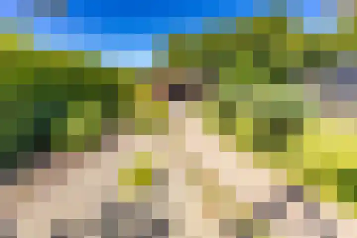 Vaart 153 Gasselternijveen thumbnail 5