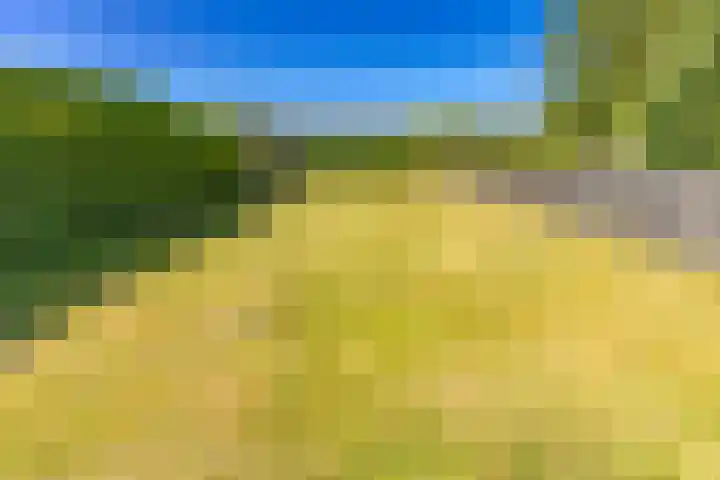Vaart 153 Gasselternijveen thumbnail 53