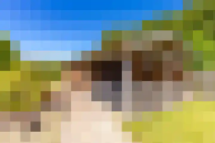 Vaart 153 Gasselternijveen thumbnail 54