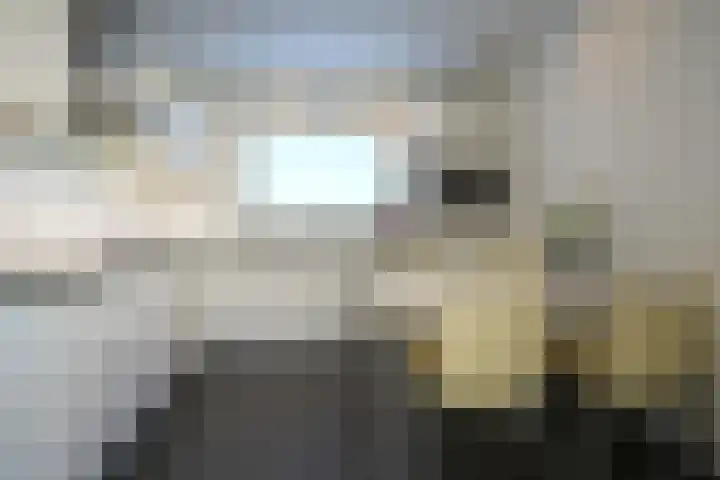 Vaart 18 Stein thumbnail 11