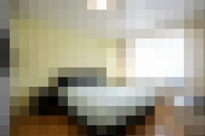 Vaart 18 Stein thumbnail 14