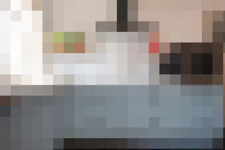 Vaart 18 Stein thumbnail 20