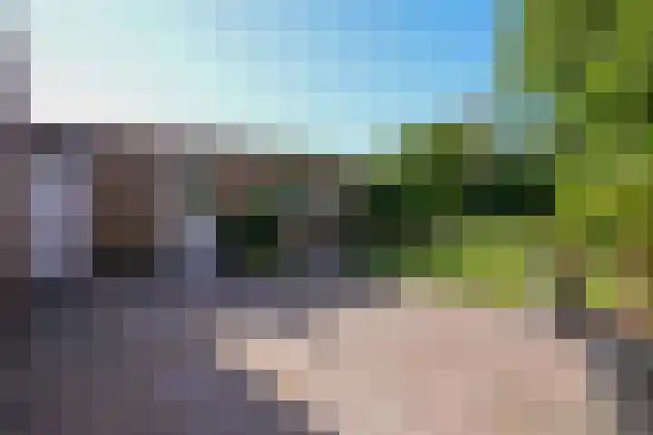 Vaart 18 Stein thumbnail 23
