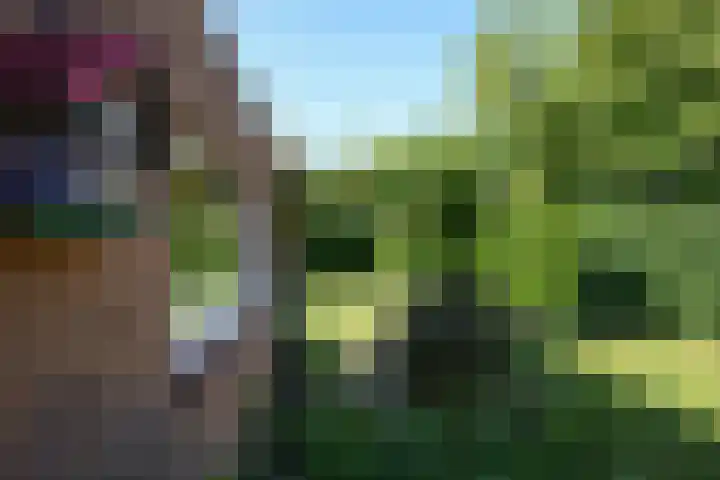 Vaart 18 Stein thumbnail 26