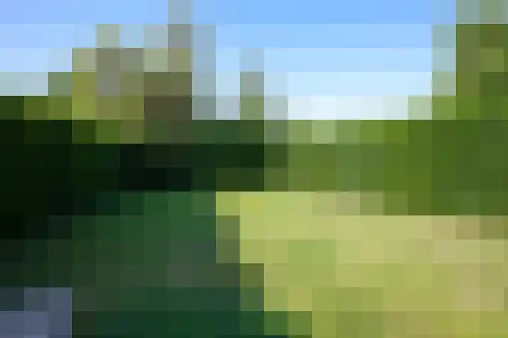 Vaart 18 Stein thumbnail 28