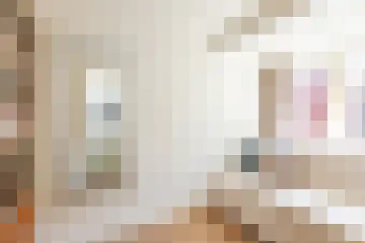 Vaart 18 Stein thumbnail 30