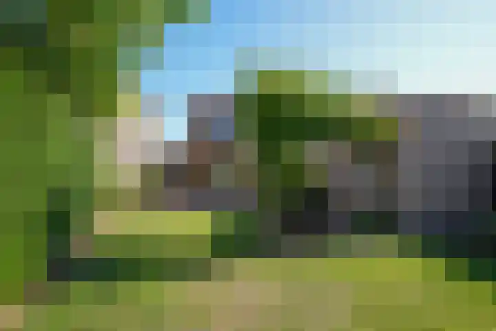 Vaart 18 Stein thumbnail 31