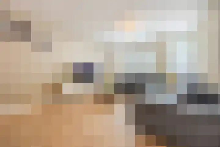 Vaart 18 Stein thumbnail 35