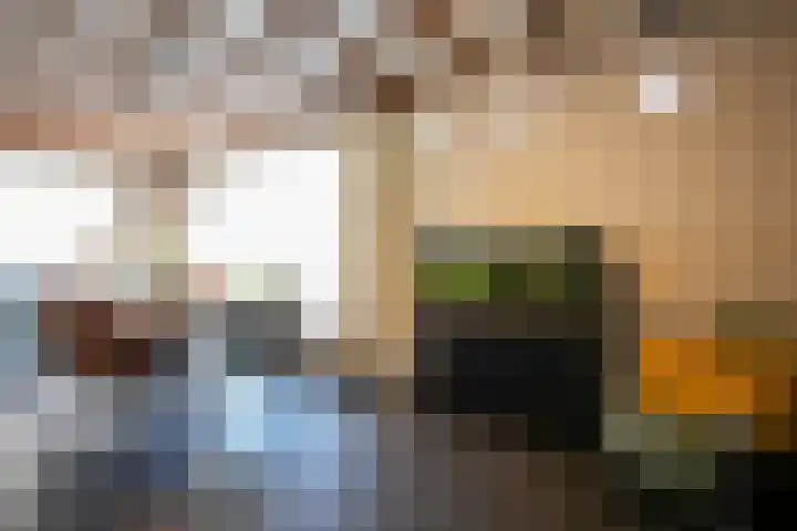 Vaart 18 Stein thumbnail 5