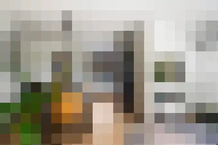 Vaart 29 Brielle thumbnail 14