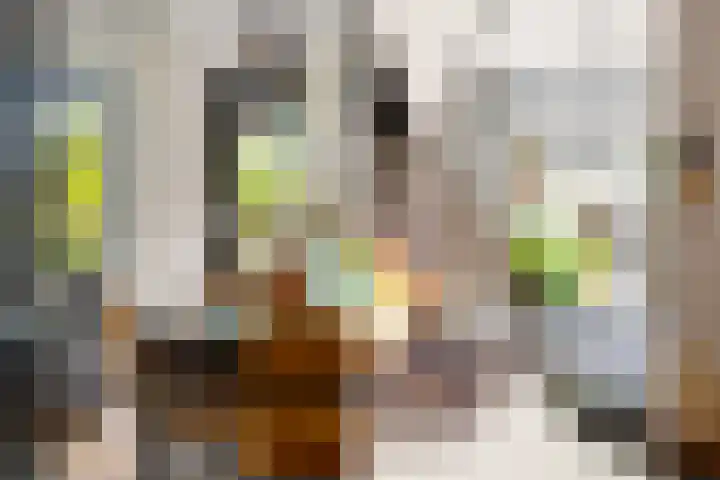 Vaart 29 Brielle thumbnail 18