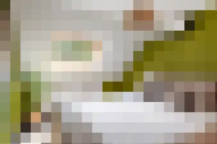 Vaart 29 Brielle thumbnail 36