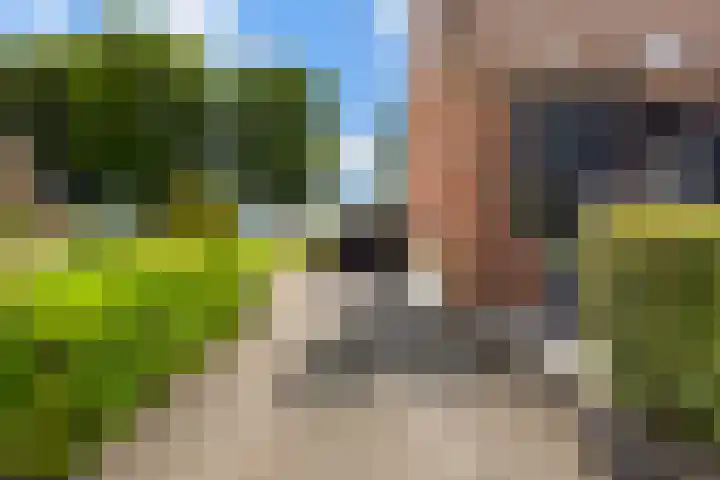Vaart 29 Brielle thumbnail 4