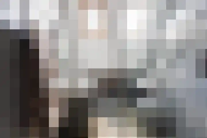 Vaart 29 Brielle thumbnail 42